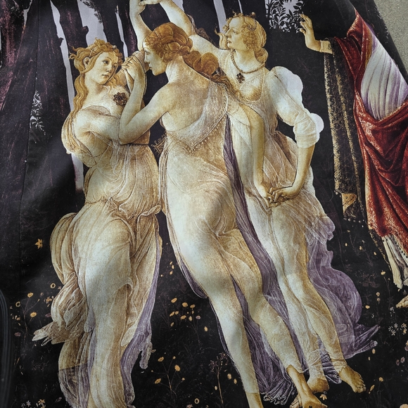 Alice + Olivia Botticelli La Primavera Skirt - Picture 4 of 6